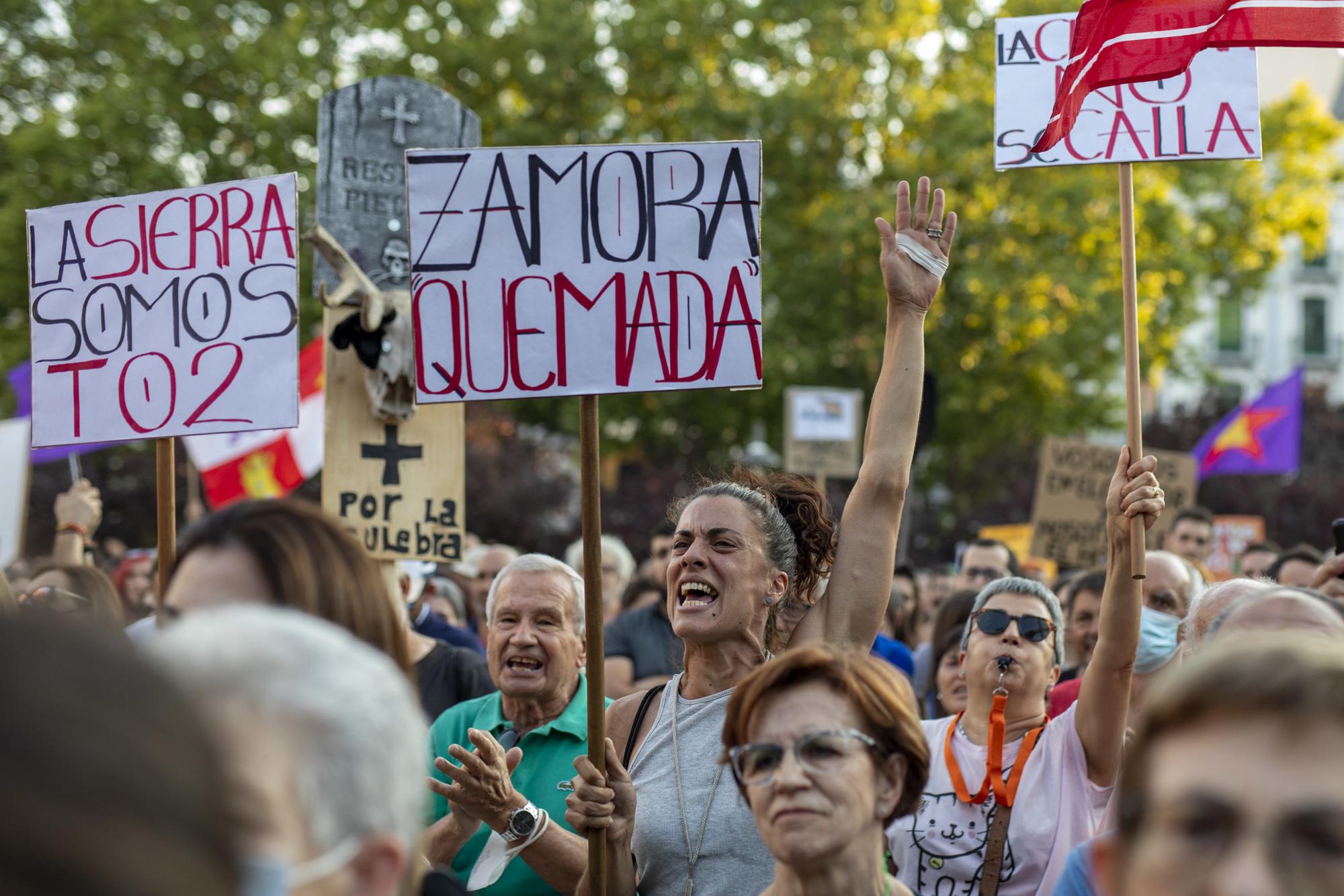 Manifestación Zamora Incendios forestales 28-07-2022 - 7